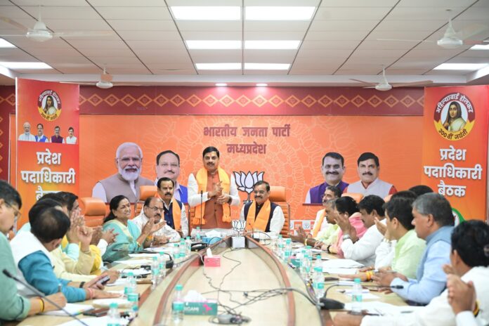 WhatsApp Image 2025-05-30 at 10.37.54 PM