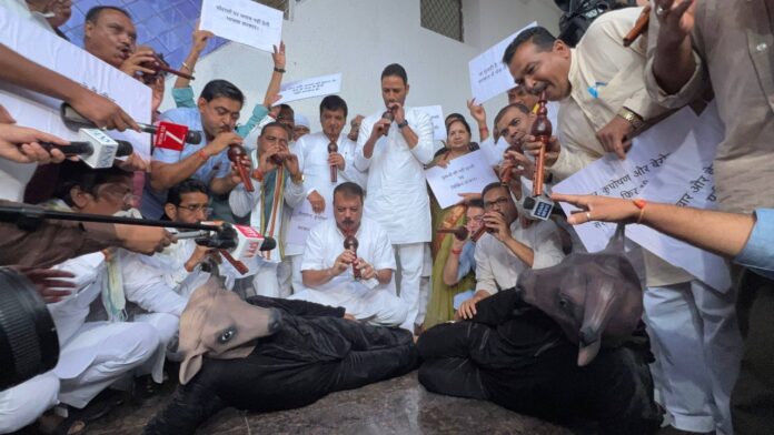 WhatsApp Image 2025-07-29 at 3.31.07 PM