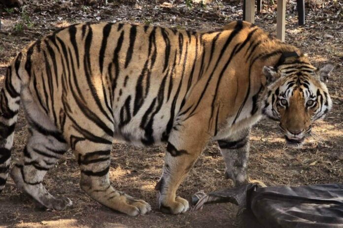 WhatsApp Image 2025-08-28 at 1.39.06 PM