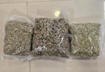 ऑपरेशन वीड आउट: डीआरआई ने 42 करोड़ रुपये मूल्य की हाइड्रोपोनिक वीड जब्त की, दो गिरफ्तार